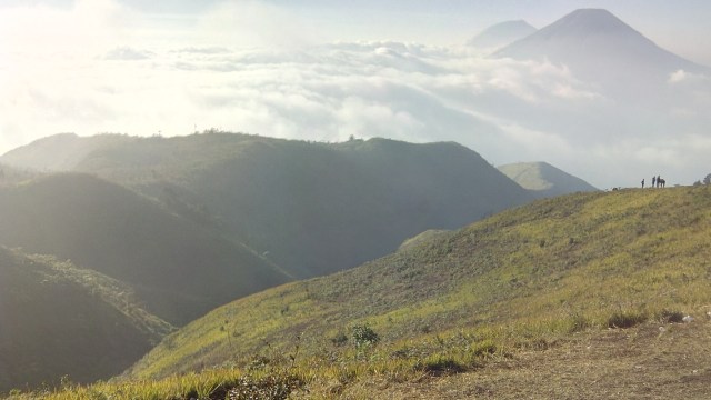 Pemandangan dari kawasan puncak Prau (Foto: Muhammad Abdurrasyid/kumparan)