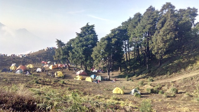 Kawasan kemah di puncak Prau (Foto: Muhammad Abdurrasyid)