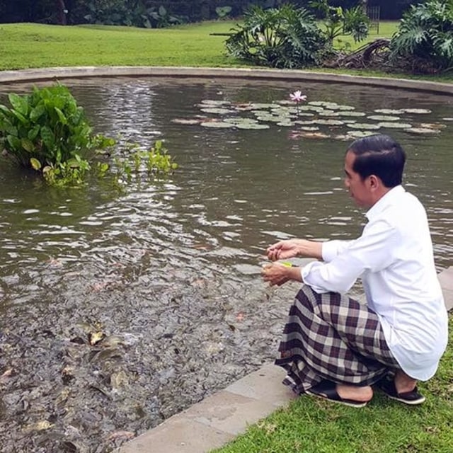 Jokowi memberi makan ikan. (Foto: Twiter/@jokowi)