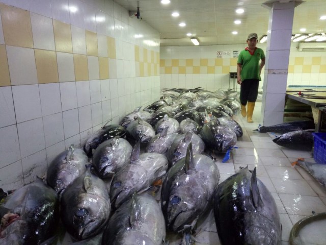 Kondisi ikan-ikan segar di Muara Baru. (Foto: kumparan)