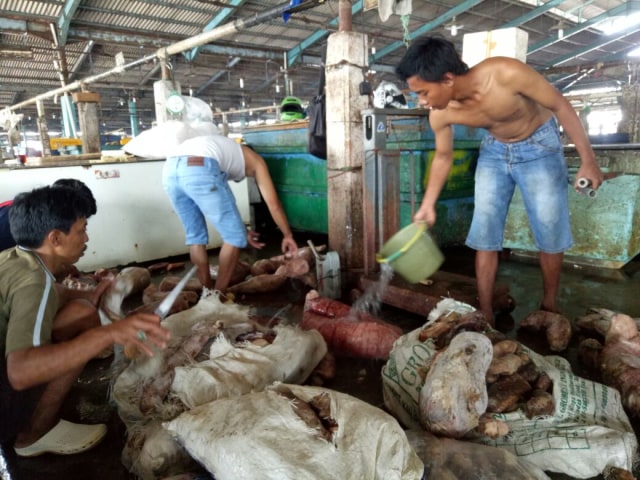 Tempat pelelangan ikan. (Foto: kumparan)