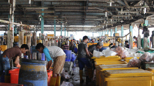 Pelelangan ikan Muara Baru. (Foto: Nur Syarifah Sa'diyah/kumparan)