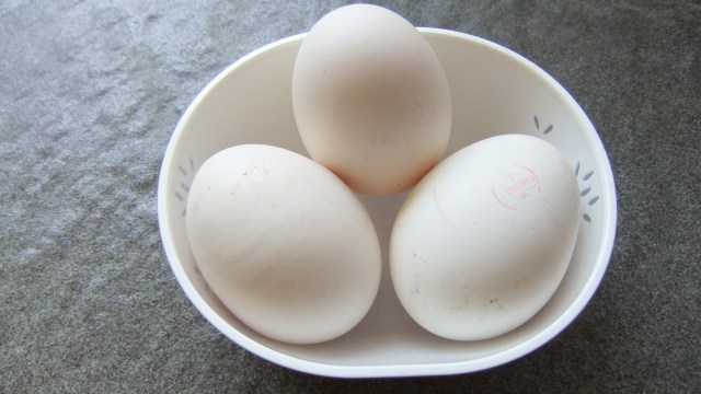 Ilustrasi telur ayam kampung sebagai menu MPASI bayi. (Foto: Wikimedia commons/Sakurai Midori )