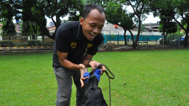 Dog Handler sedang melatih anjing pelacak. (Foto: Kevin Kurnianto/kumparan)