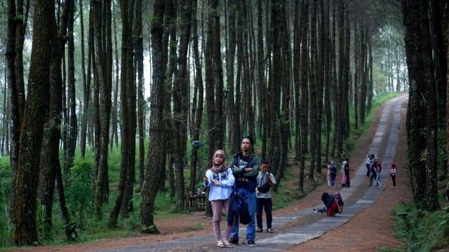 Destinasi Wisata Khas Pantai Selatan Sambut Pemudik Di