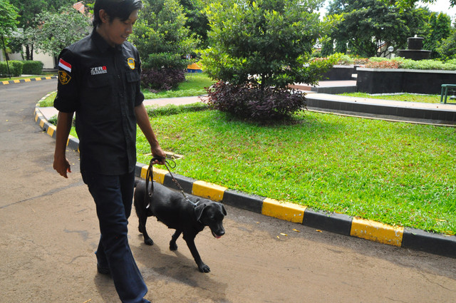 Instruktur anjing pelacak Unit K-9. Foto: Kevin Kurnianto/kumparan