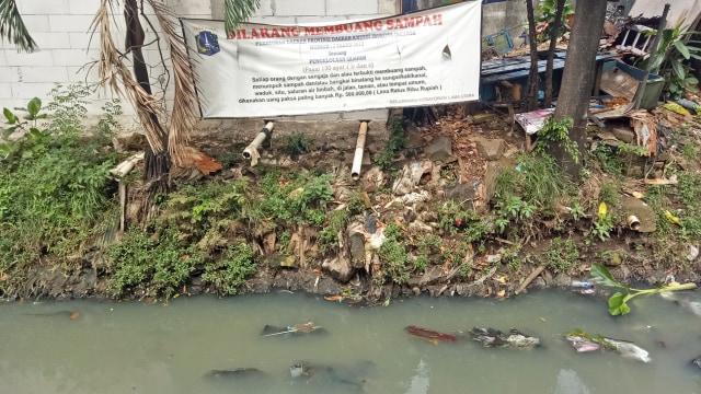 Spanduk peringatan larangan membuang sampah (Foto: Nadia Riso/kumparan)