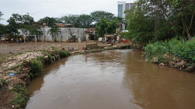 Salah satu sudut kali Krukut (Foto: Aditia Noviansyah/kumparan)