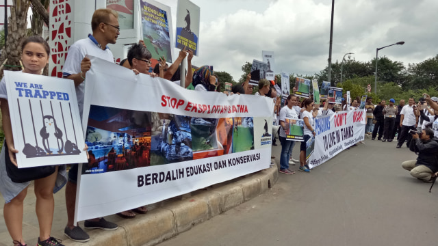 Demo menolak eksploitasi penguin dalam restoran. (Foto: Aprilandika Pratama/kumparan)