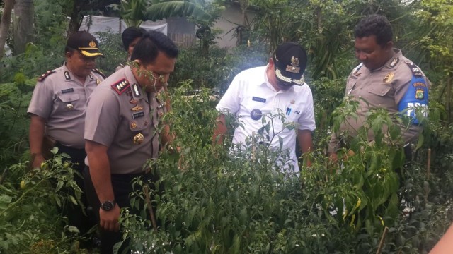 Pupuk cair dari bahan bom dikembangkan di Bekasi. (Foto: Istimewa)