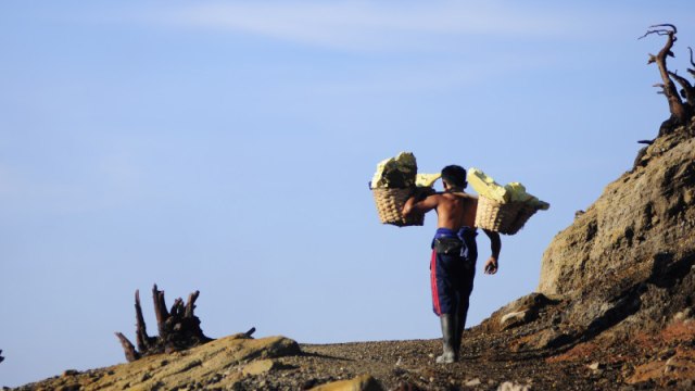 Penambang memikul belerang di kawasan Gunung Ijen. (Foto: Dok. Pemkab Banyuwangi)