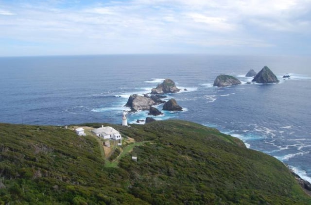 Pulau Maatsuyker di Tasmania. (Foto: Tasmania Parks and Wildlife Service)