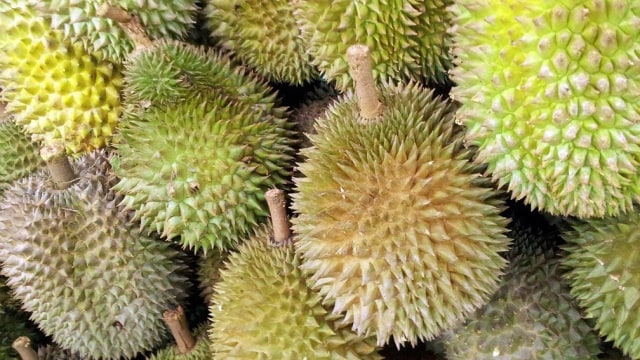 Setelah Minta Bawang, Kini Beredar Video Polantas Minta Durian ke Sopir Truk (83465)