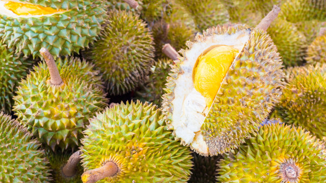 Aroma dan rasa durian menimbulkan kontroversi. (Foto: Dok. Thinkstock)