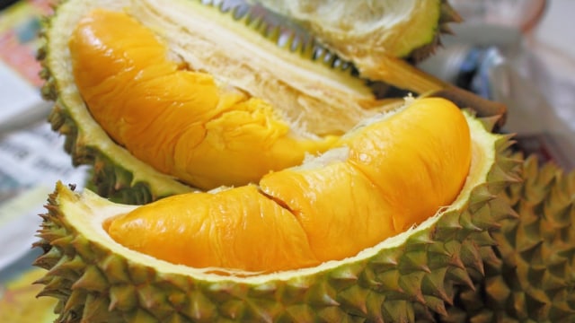 Aroma menyengat durian memicu banyak kontroversi. (Foto: limakaki.com)