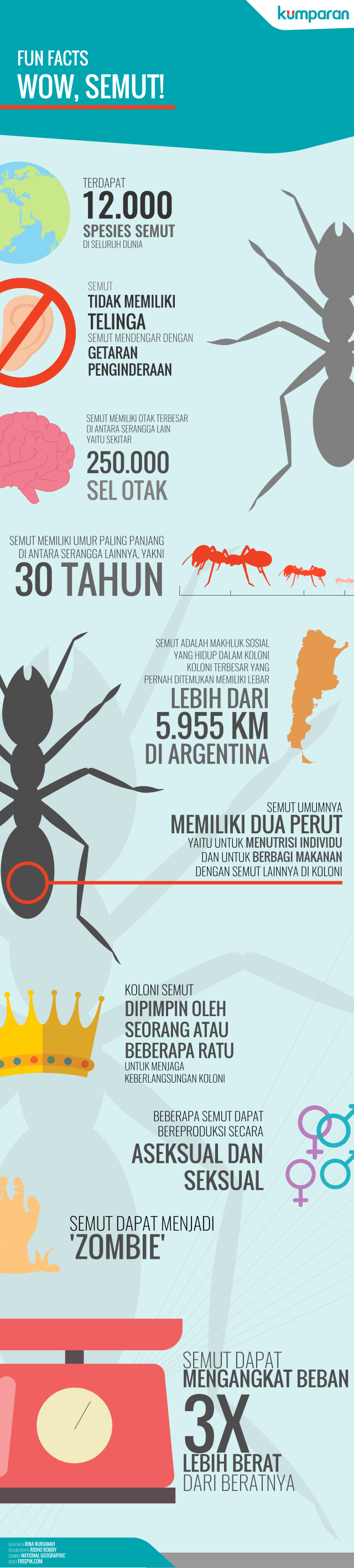 Infografis Fun Facts Semut (Foto: Ridho Robby/kumparan)