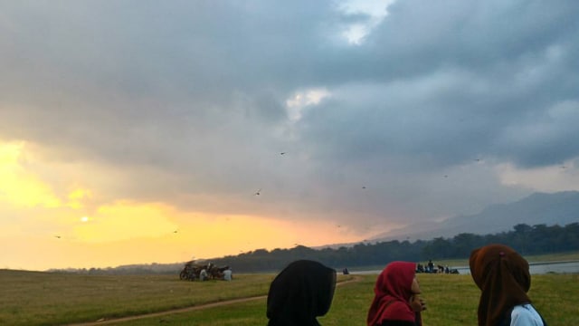 Suasana di kawasan Waduk Gembong  (Foto: Muhammad Naufal/kumparan)