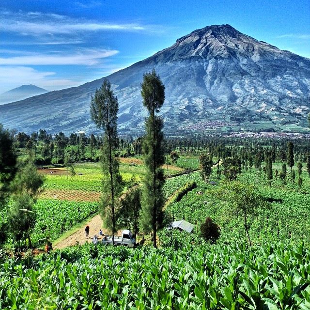 Pemandangan Gunung Sumbing dari pos 1 Sindoro (Foto: Muhammad Naufal/kumparan)