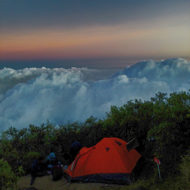 Salah satu tenda pendaki di pos 3 Sindoro. (Foto: Muhammad Naufal/kumparan)
