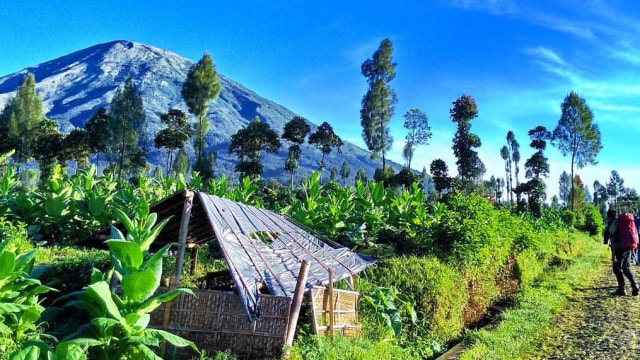 Gunung Sindoro (Foto: Muhammad Naufal/kumparan)