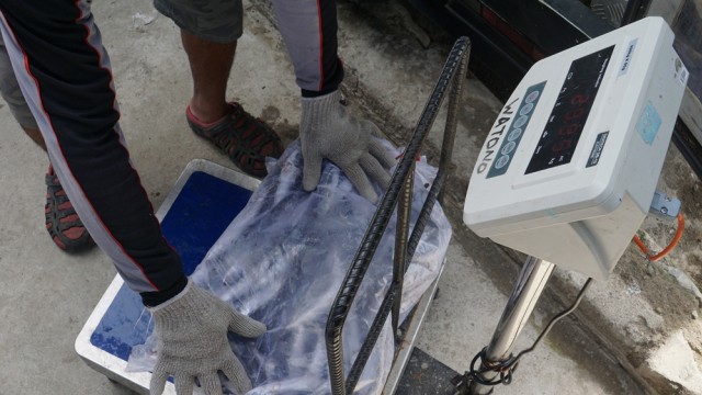 peluang usaha perikanan laut Bisnis Perikanan yang Menggiurkan kumparan com