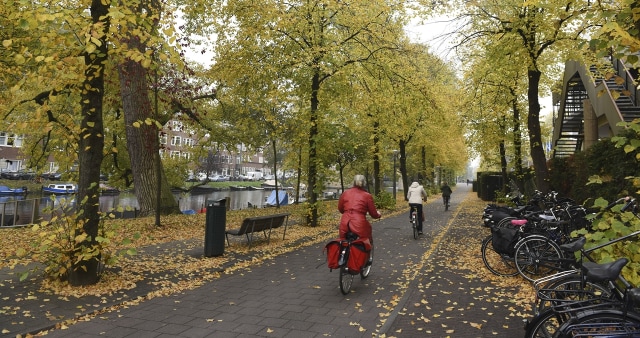 Musim Gugur di Amsterdam. (Foto: Antara/Zabur Karuru)