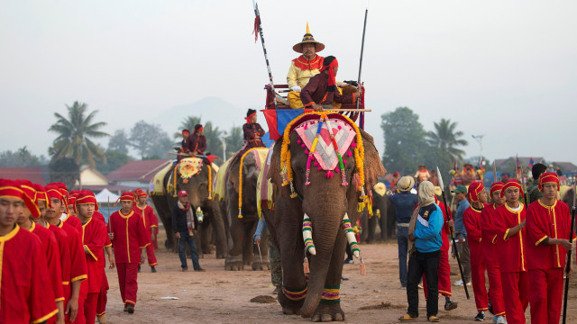 Festival Gajah di Laos