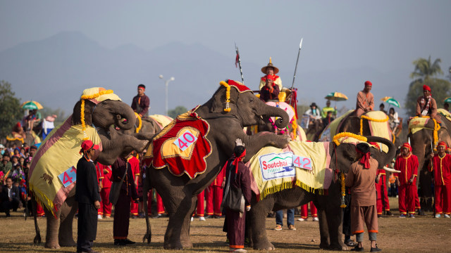 Festival gajah di Laos (Foto: Phoonsab Thevongsa/Reuters)