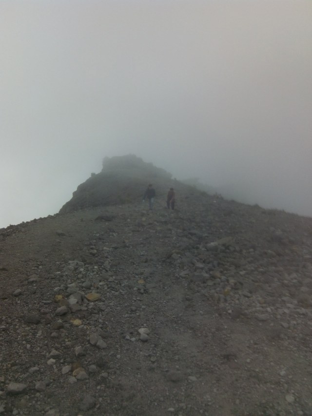 Trek pendakian Gunung Merapi. (Foto: Muhammad Naufal/kumparan)