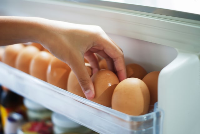 Taruh telur di tempat yang suhunya cocok. (Foto: Thinkstock)