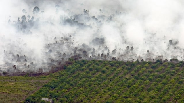Kebakaran Hutan di Riau  (Foto: FB Anggoro/Antara)