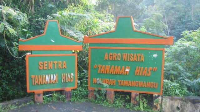 Argo Wisata Tanaman Hias Tawangmangu. (Foto: Wikimedia Commons)