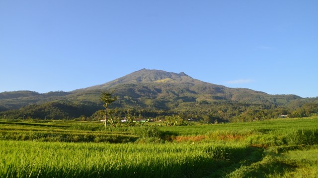 Gunung Lawu. (Foto: Wikimedia Commons/Ahmad Afif)