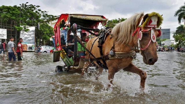 Delman menerabas banjir di Kedoya, Jakbar. (Foto: Atikah Fauziyyah/Antara)