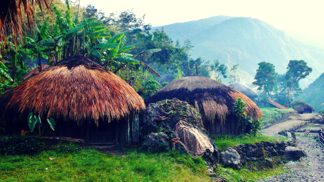 Papua (Foto: Pixabay)