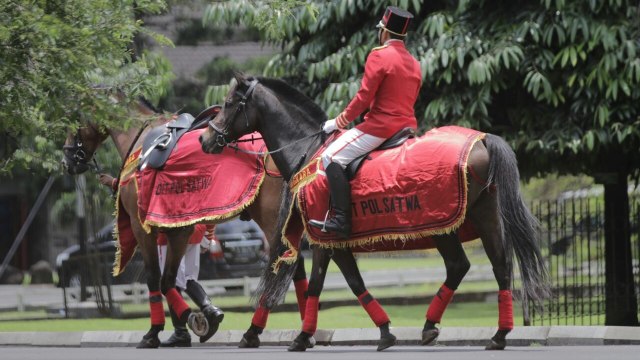 Pengawal berkuda sambut kedatangan Raja Salman. (Foto: Ridho Robby/kumparan)