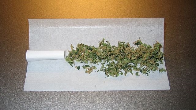 Ganja lintingan. (Foto: Wikimedia Commons)