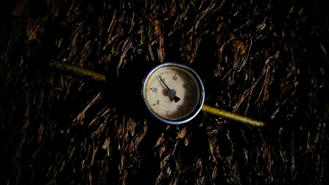 Temperature meter di sebuah pabrik tembakau. (Foto: REUTERS/Alexandre Meneghini)