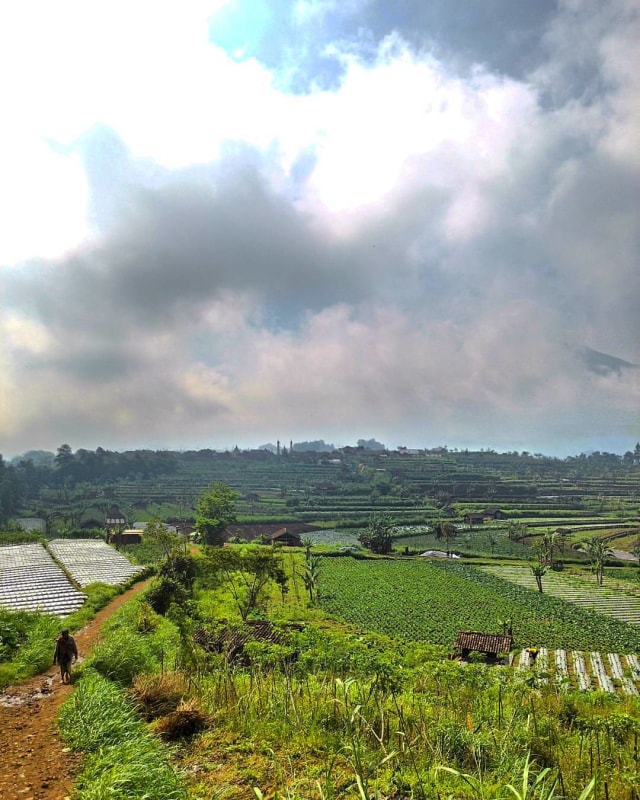 Suasana di pedesaan. (Foto: Muhammad Naufal/kumparan)