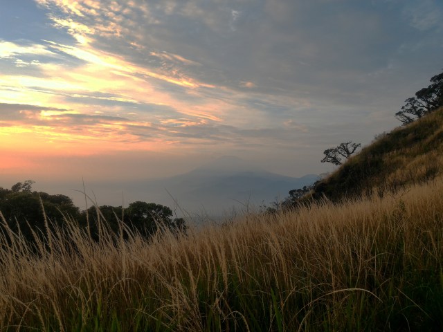 Gunung Ungaran (Foto: Muhammad Naufal/kumparan)