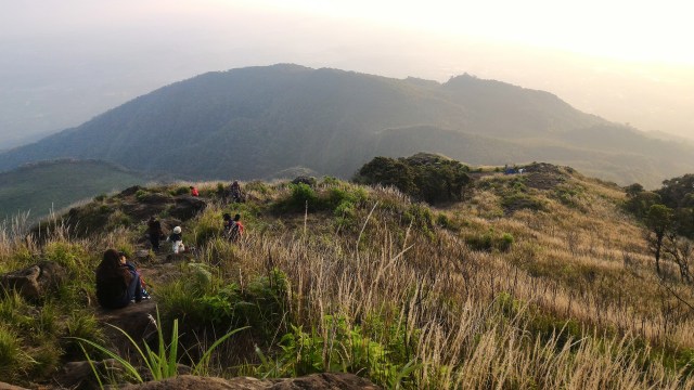 Padang rumput sebelum puncak Gunung Ungaran. (Foto: Muhammad Naufal/kumparan)