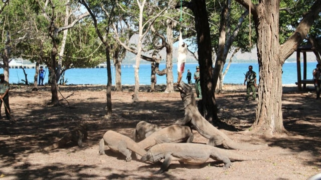 Taman Nasional Komodo. (Foto: Dok. New 7 Wonder)