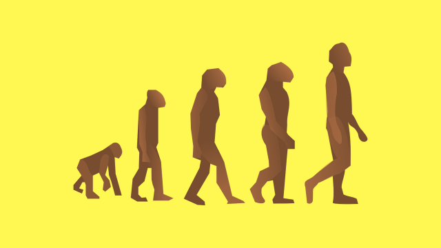 Evolusi manusia. Foto: Pixabay
