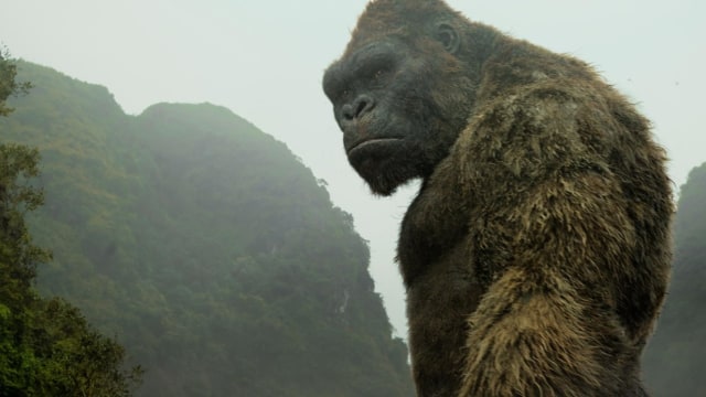 Film Kong: Skull Island (Foto: Warner Bros)