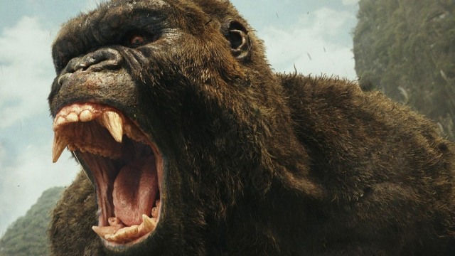 Film Kong: Skull Island (Foto: Warner Bros)