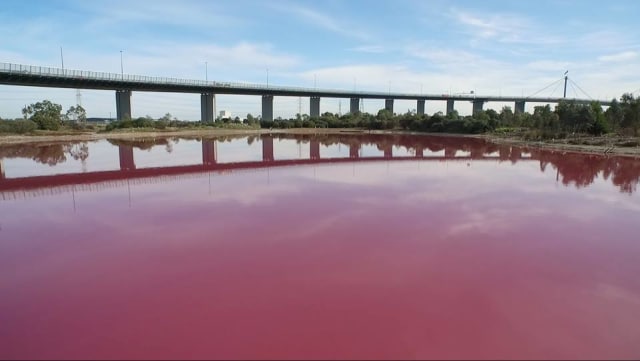 Danau pink di Victoria, Melbourne. (Foto: Facebook/Parks Victoria)