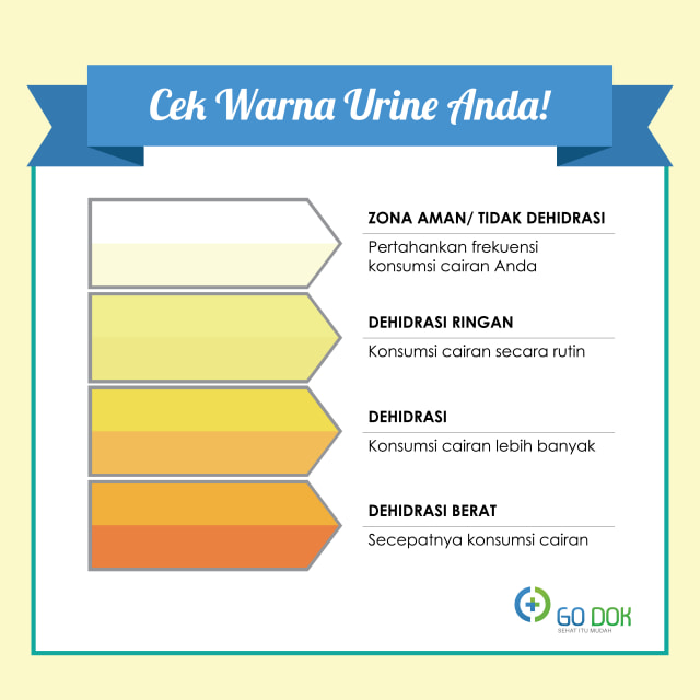 Sudah Cukupkah Air yang Kamu Minum Setiap Hari? Coba Cek ...