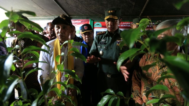 Gubernur Maluku tinjau pembibitan pohon masoya (Foto: Aditia Noviansyah/kumparan)