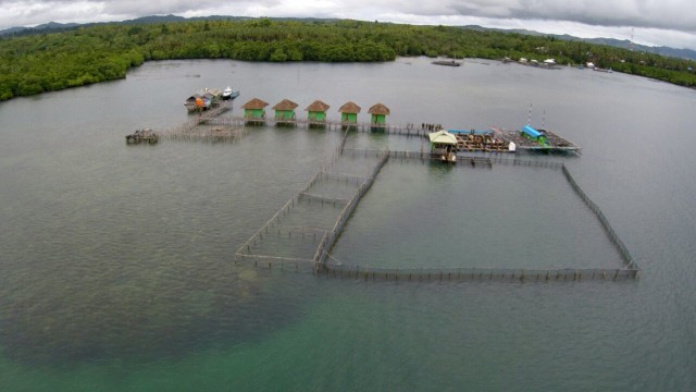 Keramba ikan di Kab. Seram Barat, Maluku. (Foto: Aditia Noviansyah/kumparan)