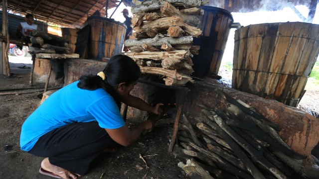 Proses penyulingan minyak kayu putih. (Foto: Aditia Noviansyah/kumparan)